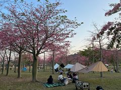 -风云岭森林公园