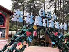 -洛阳白云山景区