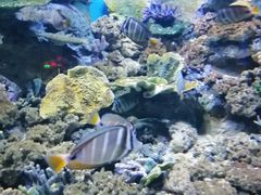-常州海昌海洋探索馆