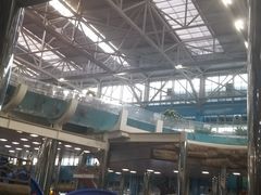 -天山海世界