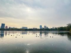 -莲花池公园