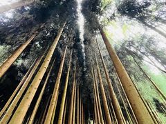 -太阳湾风景区