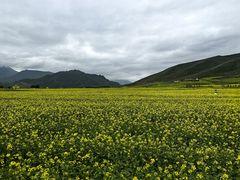 -扁都口生态休闲旅游区