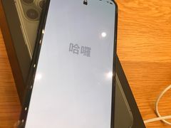 -Apple Store(Brisbane)