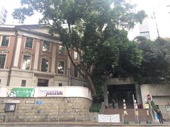 -香港大学