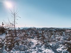 -密苑云顶乐园(云顶滑雪场)