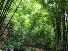-四洞沟景区