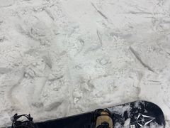 -乔波室内滑雪场