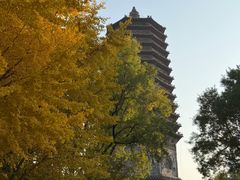 -玲珑塔公园