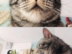 -平行世界·猫咖(首经贸店)