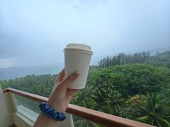 -三亚海棠湾喜来登度假酒店