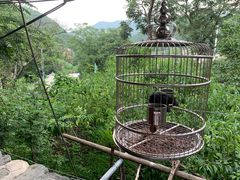 -南窖乡水峪村山情农家