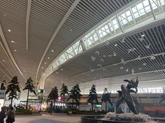 -青岛胶东国际机场