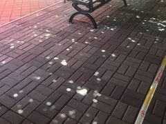 -沪上阿姨·精选茶饮(万新村店)