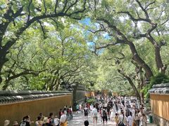 -普陀山风景名胜区-法雨禅寺