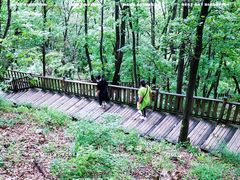 -帽儿山国家森林公园