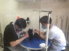 -酷宠动物医院(天通西苑店)