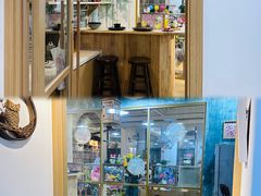 -金宝幼儿园(通州校区)