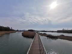 -苏州太湖湖滨国家湿地公园