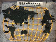 -青岛葡萄酒博物馆