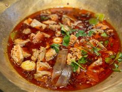 -毛肚向右·川渝毛肚王(经开永旺店)