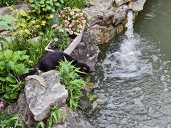 -漫渡庄绿岛花园•隐世庭园菜(滨湖店)