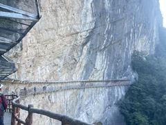 -鹿院坪生态旅游景区