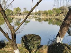 -雨湖公园