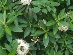 -鲁山国家森林公园