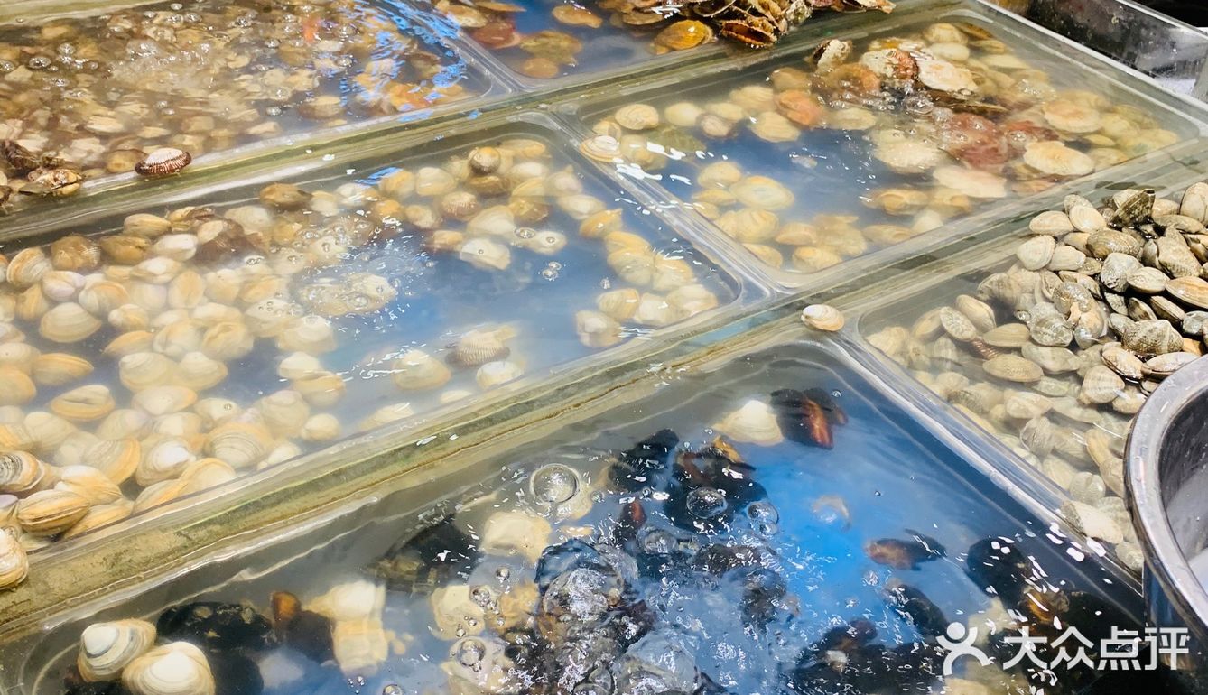 55一个人老板,你真的不会亏吗?太划算了吧