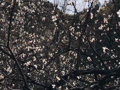 -碓臼峪自然风景区