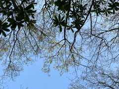 -南京市江宁方山