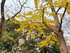 -八大关景区