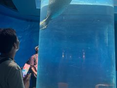 -海合安武汉极地海洋公园