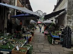 -嘉兴月河历史街区