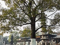 -香积寺