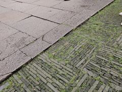 -苏州冶园园林民宿(太湖西山风景区店)