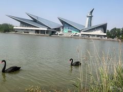 -盐城丹顶鹤湿地生态旅游区
