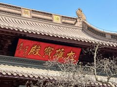 -灵谷景区