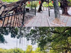-小洲村