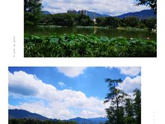 -飞来湖湿地公园