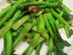 上海菜心-新雅粤菜馆(南京东路店)