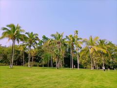 -中国科学院西双版纳热带植物园