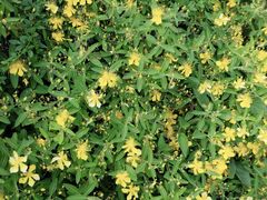 -南山风景名胜区