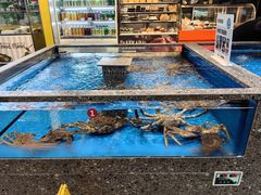-盒马鲜生(红莲店)