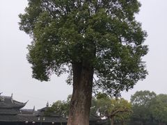 -韩湘水博园