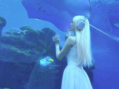 -成都浩海立方海洋公园