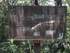 -午潮山国家森林公园
