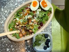 -油梨树AVOCADO TREE(望京店)