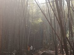 -莫干山风景区